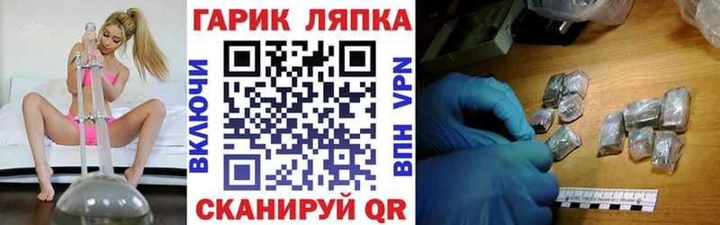 ГАШ Premium Приозерск