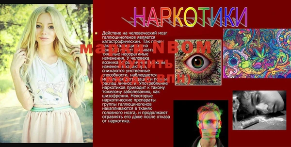 PSILOCYBIN Балахна