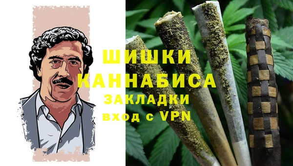 PSILOCYBIN Балахна