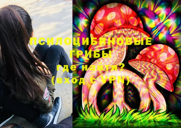 PSILOCYBIN Балахна